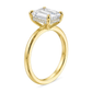 3 Ct Emerald Cut Diamond Ring with Pave Diamonds in 14k Gold
